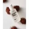 Potion Équilibrante 100 ml