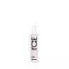 Spray lotion capillaire 10 en 1 - 100 ml
