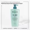 Résistance Force Architecte Shampoing réparateur reconstructeur rechargeable pour cheveux abimés et cassants 500 ml Résistance Force Architecte Shampoing réparateur reconstructeur rechargeable pour cheveux abimés et cassants 500 ml