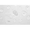 Matcha Moves - spray texture 150ml Matcha Moves - spray texture 150ml