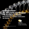 Huile Bi-Phase Réparatrice Absolut Repair Molecular 90ml Huile Bi-Phase Réparatrice Absolut Repair Molecular 90ml