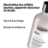 Shampoing Silver 500 ml SE