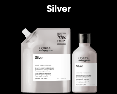 Silver SE