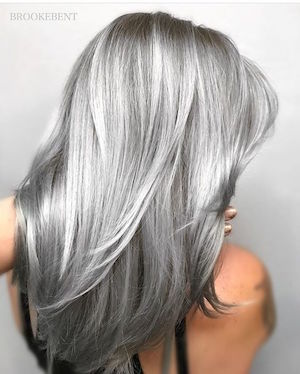 Cheveux Gris